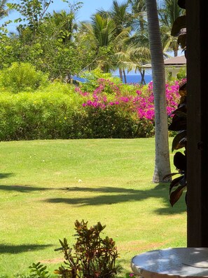 Property grounds - Soooooo Close to the Beach & Completely Remodeled!  Relax to the Sound of Waves (Kihei)