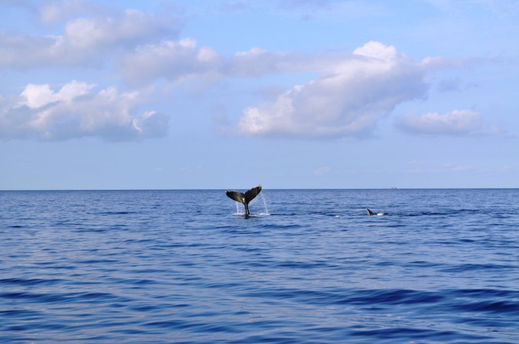 On the beach, sun loungers, beach towels