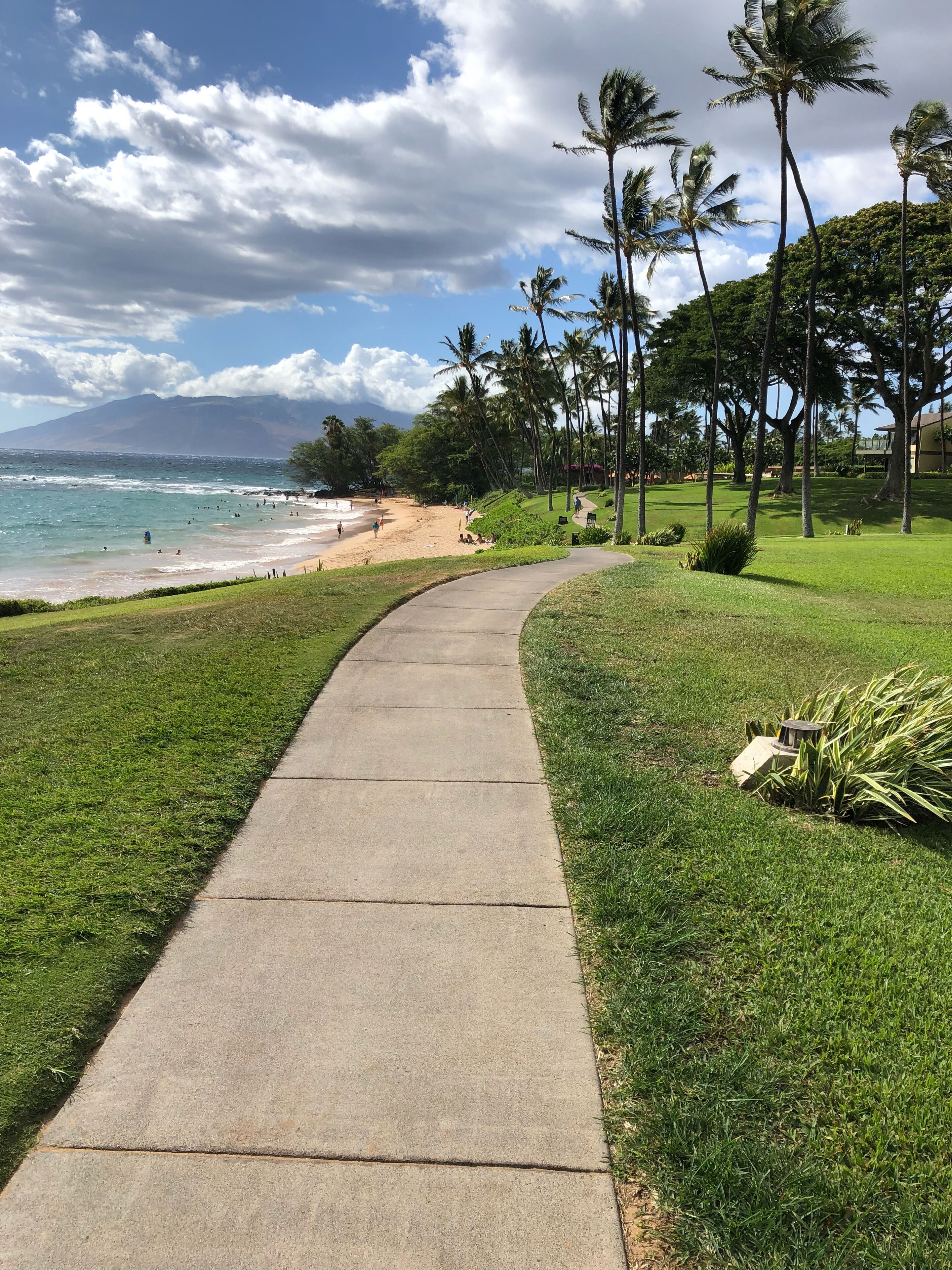 On the beach, sun loungers, beach towels