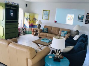 Smart TV, DVD player, books, video library