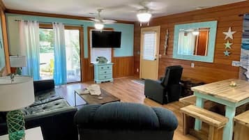 Smart TV, DVD player, books, video library