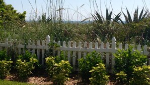 A white picket fence with dense shrubbery in the foreground and tall grasses in the background.