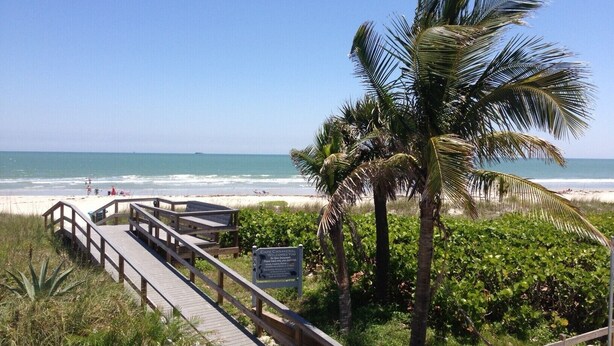 A wooden boardwalk leading to a beach with palm trees and a clear view of the ocean.