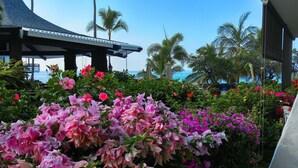 A tropical garden with pink and purple flowers, palm trees, and a covered structure with a view of the ocean. - Kitchen and Bath Remodel! - Ocean Front - Central Air - Featured on Today Show (Kailua-Kona)