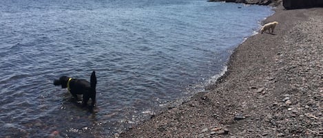 On the beach