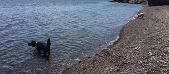 Beautiful Minnesota Townhome on Lake Superior ~ Incredible View