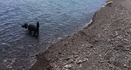Beautiful Minnesota Townhome on Lake Superior ~ Incredible View