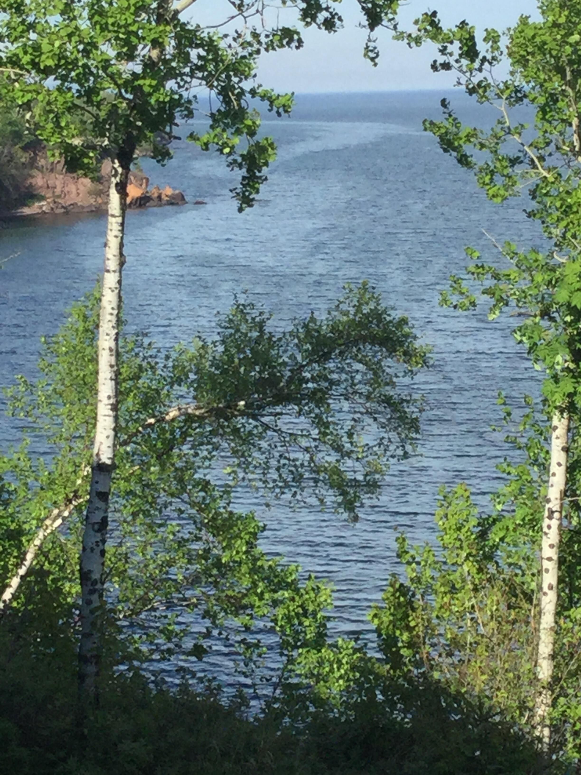 Una vista de una masa de agua tranquila rodeada de árboles.