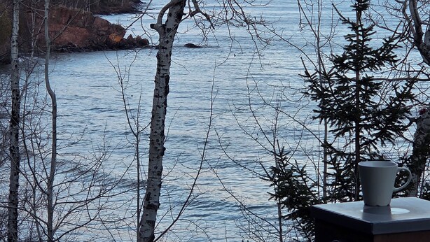 A view of a coastal area with trees and a body of water.