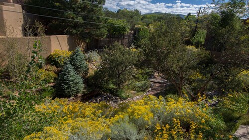 READ OUR REVIEWS!!!!!! In the Historic District, Easy Walk to Plaza & Canyon Rd.