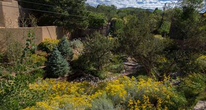 READ OUR REVIEWS!!!!!! In the Historic District, Easy Walk to Plaza & Canyon Rd.