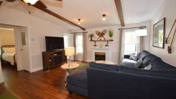 Televisión, chimenea y reproductor de DVD