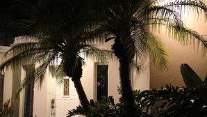 A white door with a window, surrounded by lush green palm trees.