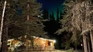 A cabin with a porch, surrounded by tall trees, and a table and chairs in the foreground.