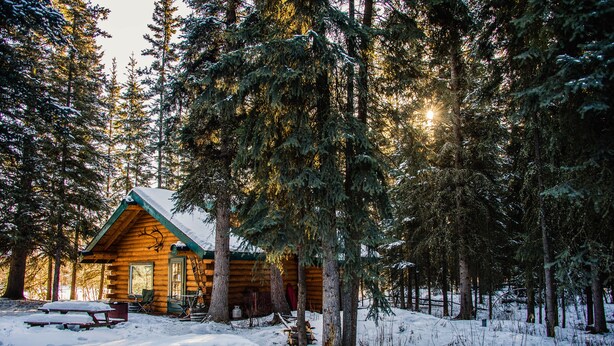 A log cabin with a snow-covered ground, surrounded by tall evergreen trees.