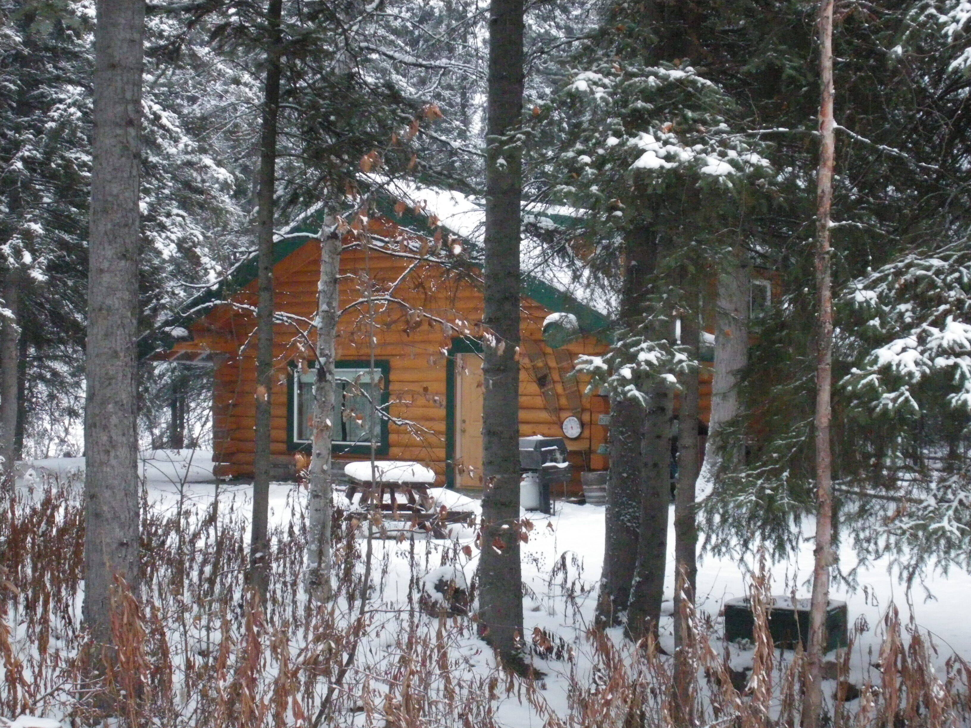 Une cabane en rondins, avec une façade en bois, entourée d’arbres couverts de neige et d’un sol enneigé.