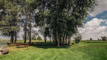 Een park met picknicktafels en bomen.