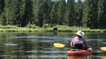 Una persona practica kayak en un río, con un bosque al fondo.