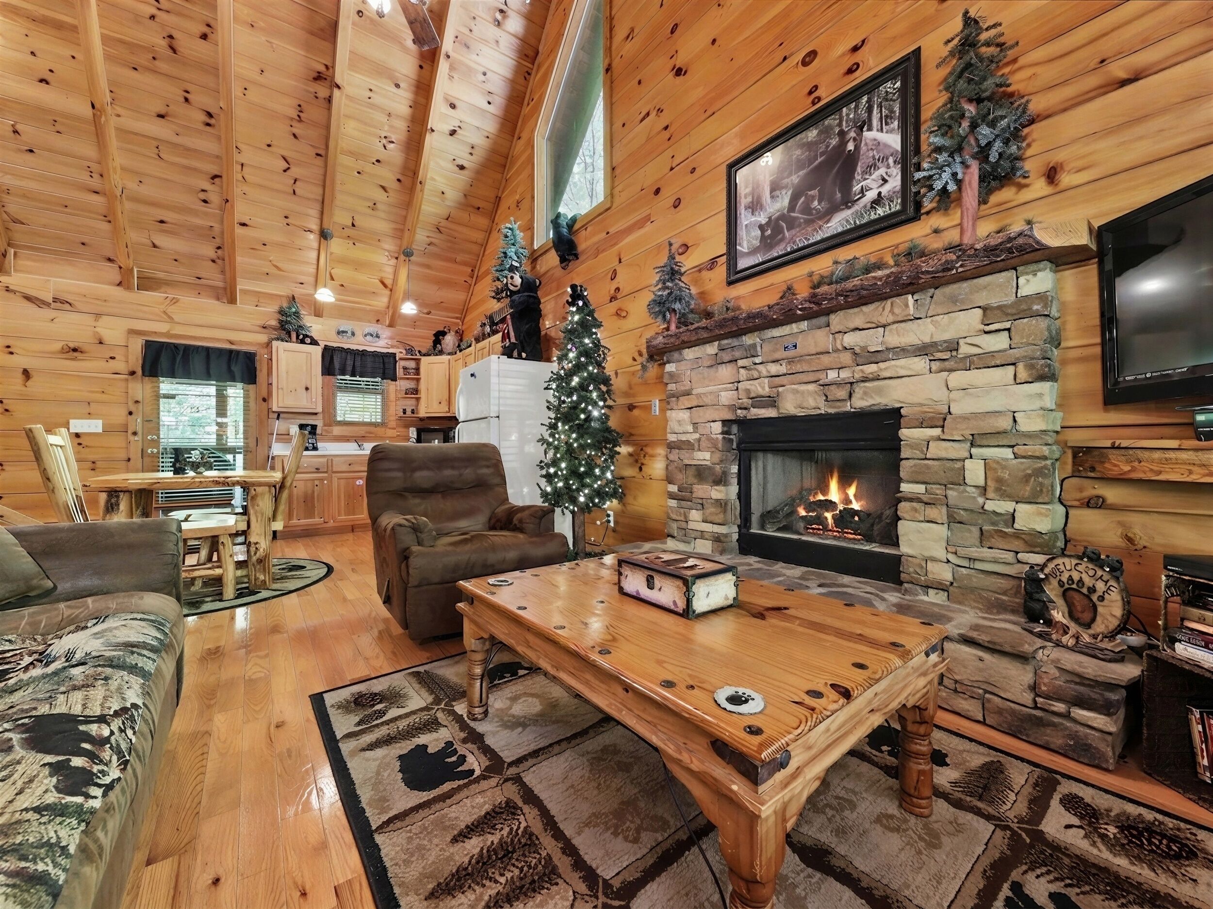 TV, fireplace, DVD player, books