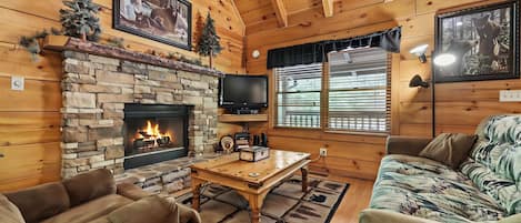 TV, fireplace, DVD player, books