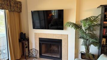 Älytelevisio, kirjoja