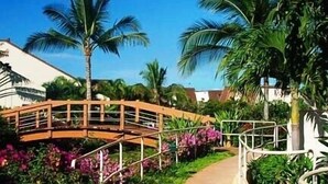 Un puente de madera sobre un sendero con palmeras y flores.