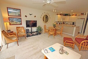 Smart TV, DVD player, books, music library