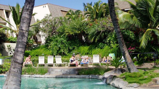 Un área de piscina con palmeras, sillas de descanso y un edificio al fondo.