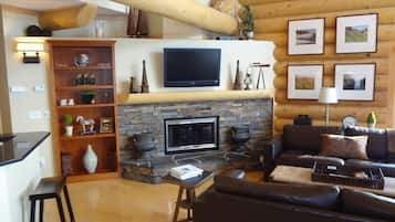 Smart TV, fireplace, DVD player, books