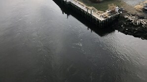 Eksteriør