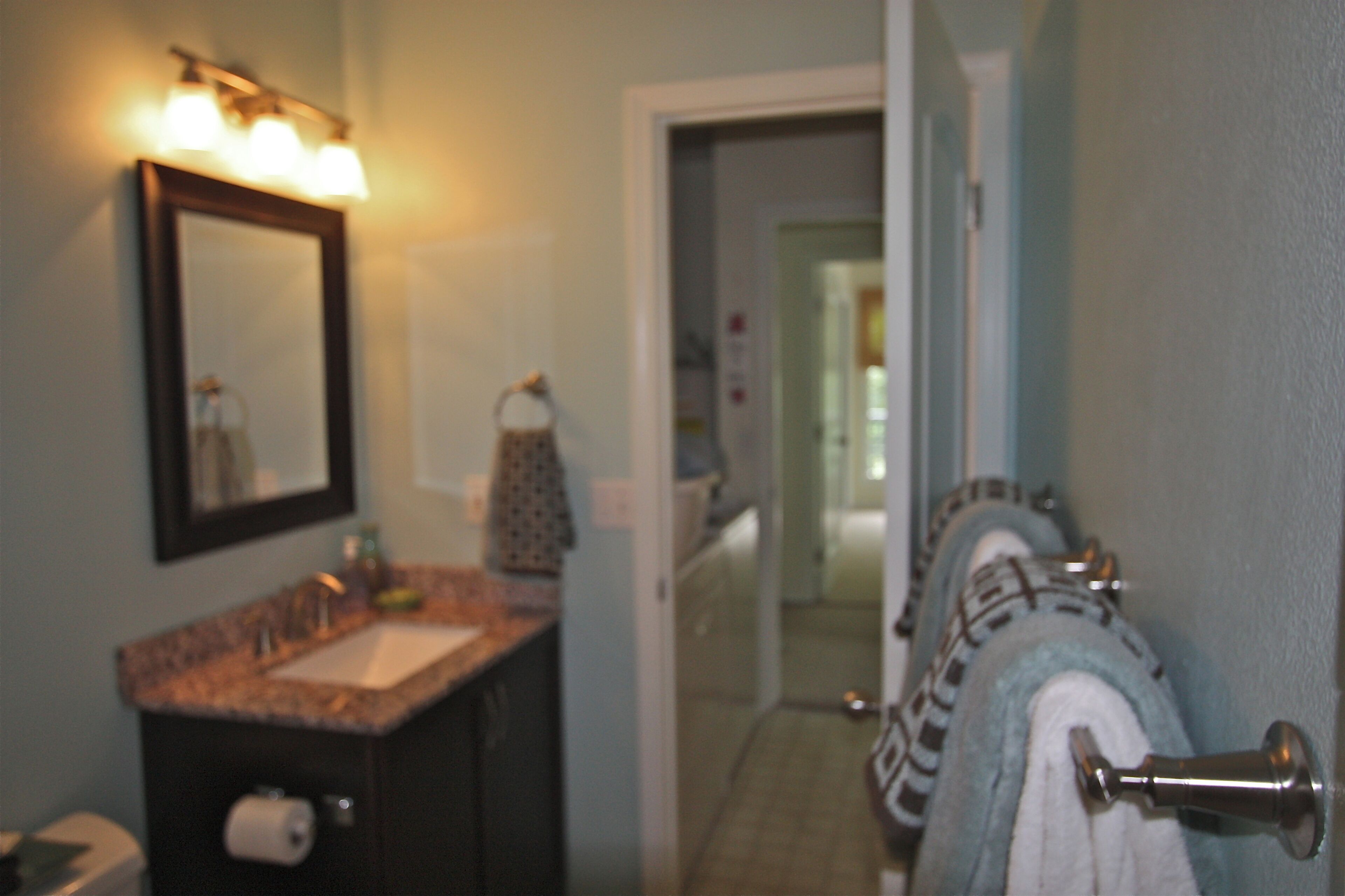 Guest bathroom