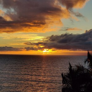 On the beach, sun loungers, beach towels - Oceanfront Penthouse Condominium Spectacular Beachfront View (Kihei)