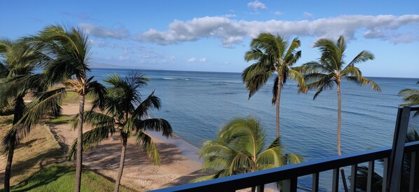 On the beach, sun loungers, beach towels