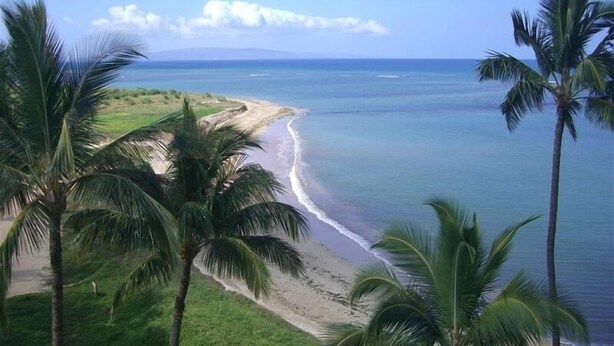 A beach with palm trees and a view of the ocean. - Oceanfront Penthouse Condominium Spectacular Beachfront View (Kihei)