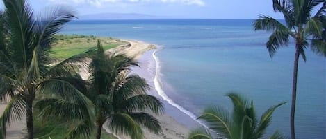 在海滩、沙滩椅、沙滩毛巾