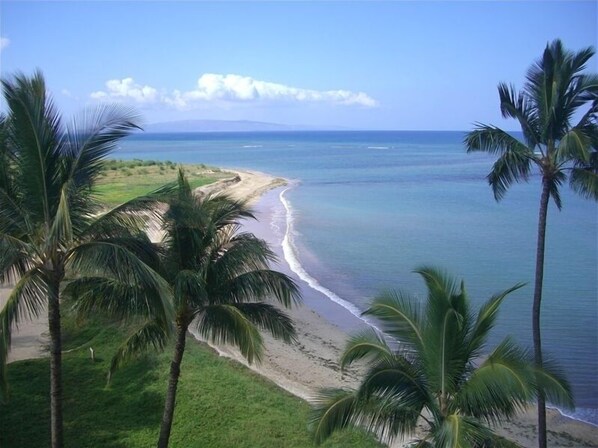 On the beach, sun loungers, beach towels