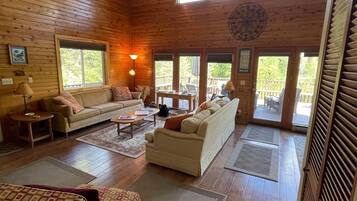 TV connectée, cheminée, lecteur de DVD, livres