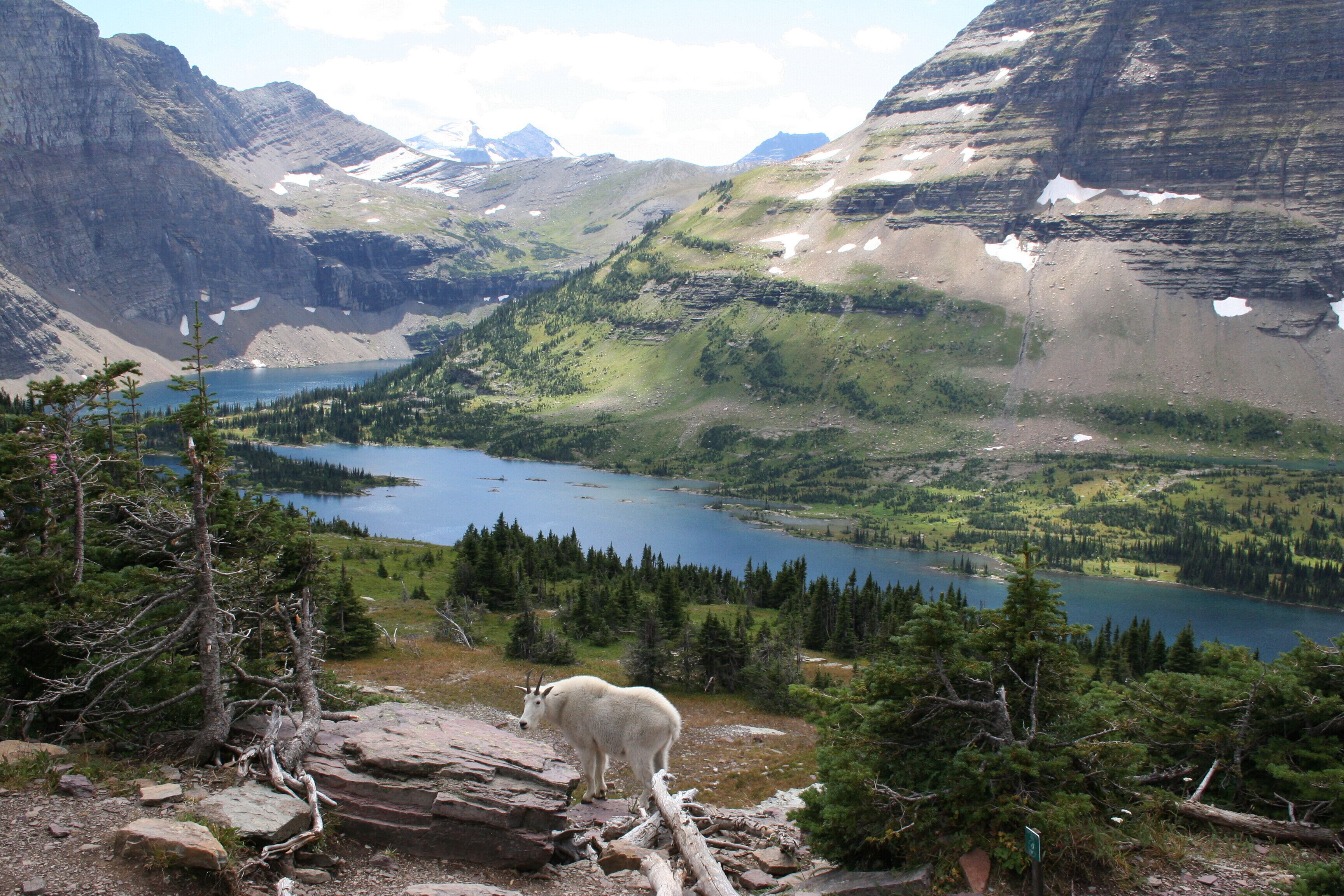 Glacier National Park West Entrance - Only 1 mile to Park and July opening