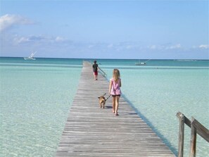 A wooden pier extending into clear turquoise waters with a person and a dog walking along it. - Captains View Nestled on the Beach  (Abaco)
