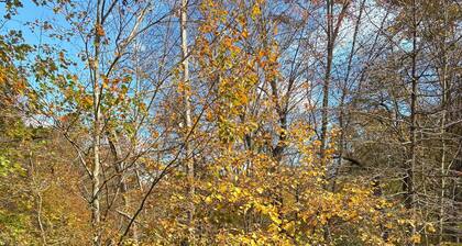 ¡CONSULTE NUESTRAS INCREÍBLES REVISIONES! Creekside Cottage espera su visita!