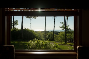 Una ventana con vistas a un paisaje verde exuberante y altos árboles.