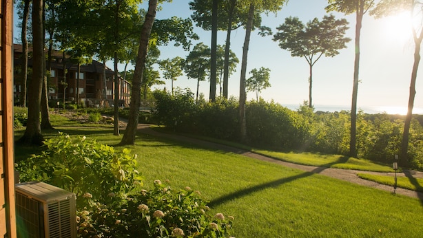 A well-maintained grassy area with trees and a building in the background. - Magnificent Water View Condo (Egg Harbor)