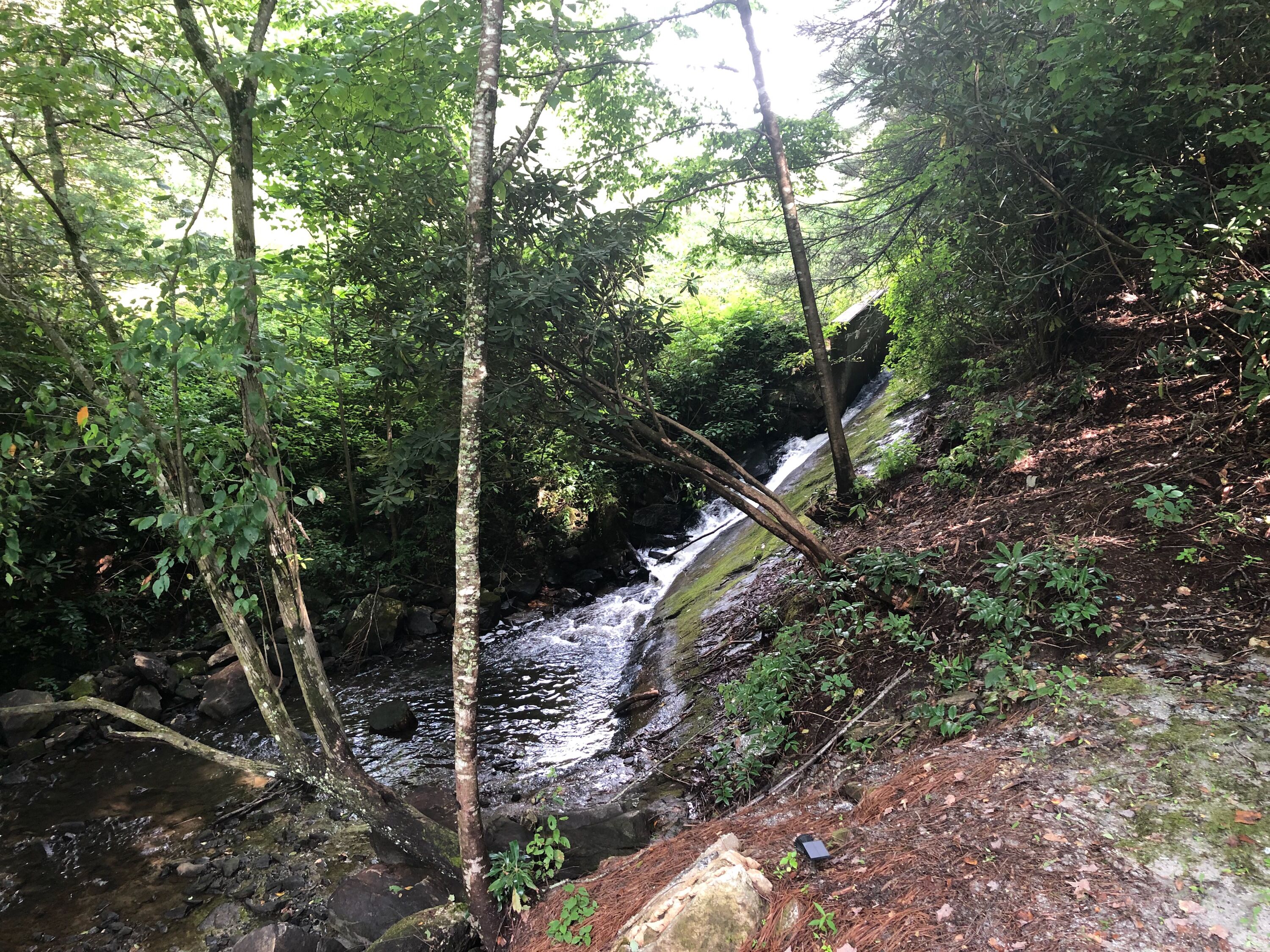 Ein bewaldetes Gebiet mit einem kleinen Wasserfall und einem felsigen Bach.