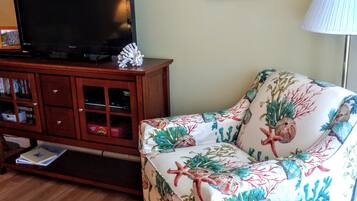 TV, DVD player, table tennis, books