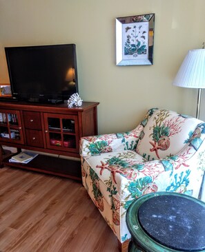 TV, DVD-spiller, bordtennis og bøker