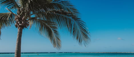 Am Strand, Strandtücher