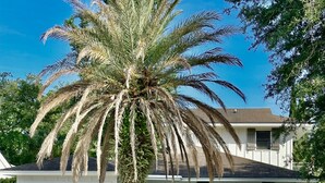 Ett bostadshus med en stor palm på framsidan av trädgården.