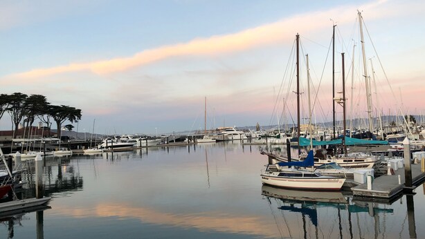 A marina with multiple boats docked, calm water, and a clear sky. - Spacious and Charming Marina District Home Steps from the Bay (SF)