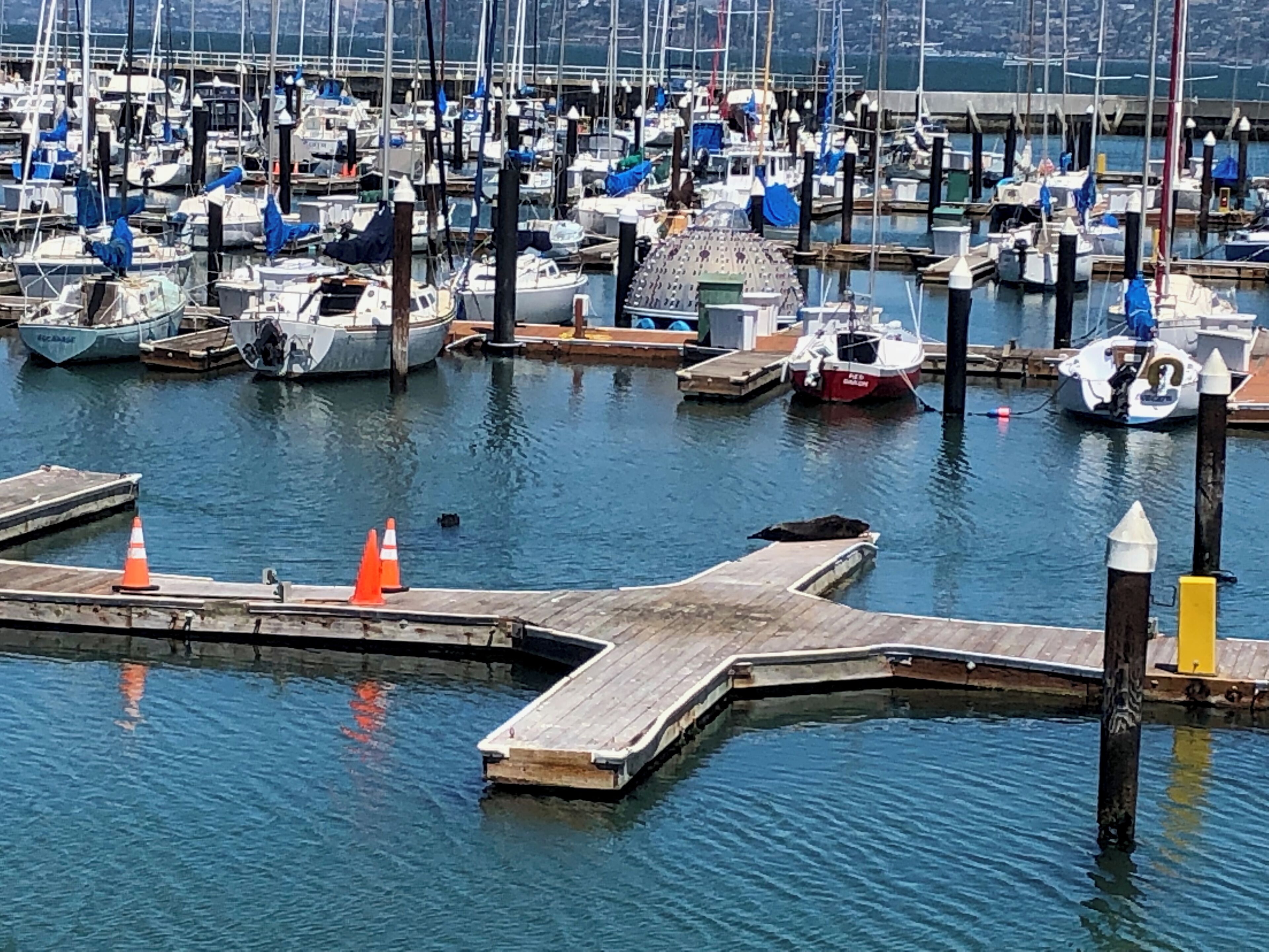 Jachthaven