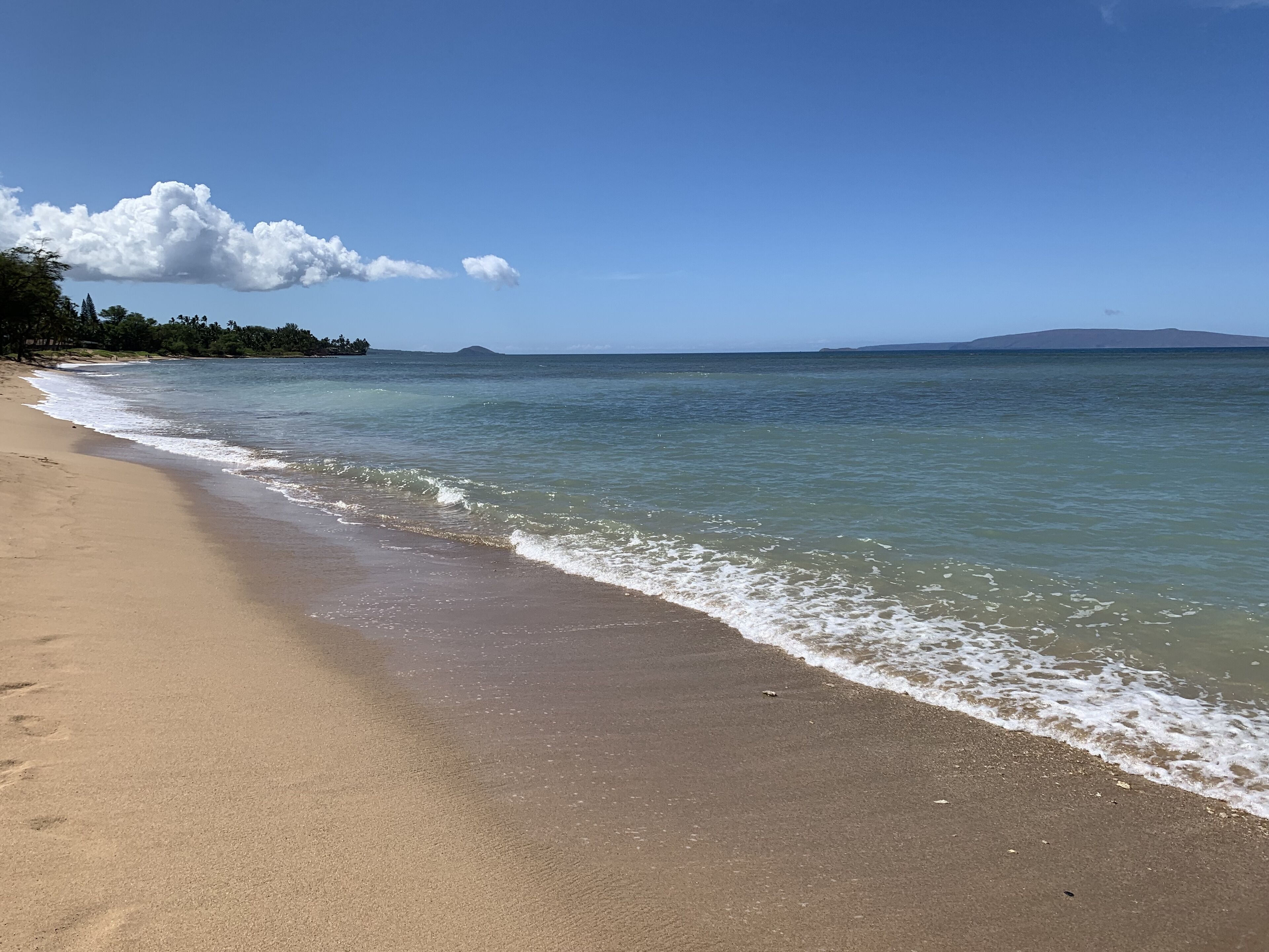 Beach nearby, sun loungers, beach towels